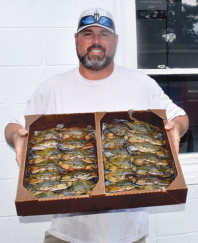 softshell crabs