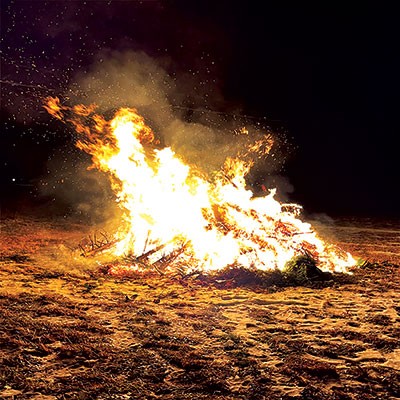 bonfire