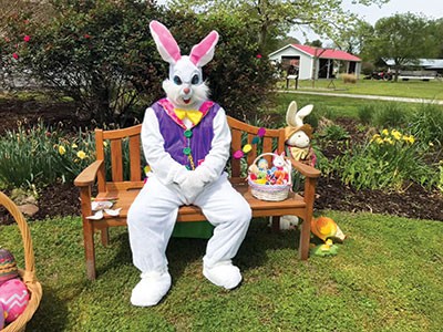 dmm-egg-hunt