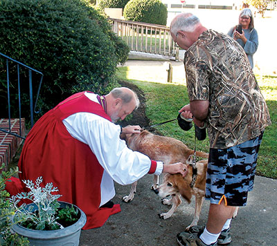 anglican-pets
