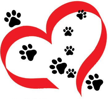 Pet Friends annual 2K slated for Saturday at Grey’s Point Camp