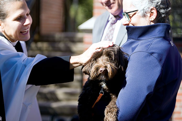 blessing-of-the-animals