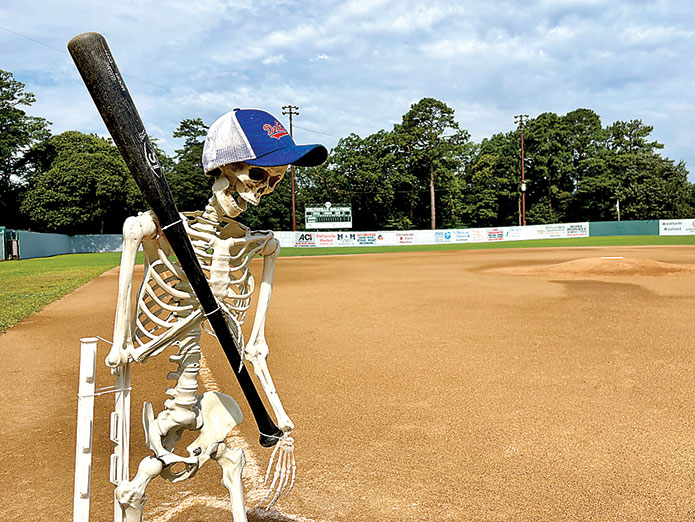 Field of Sweet Screams